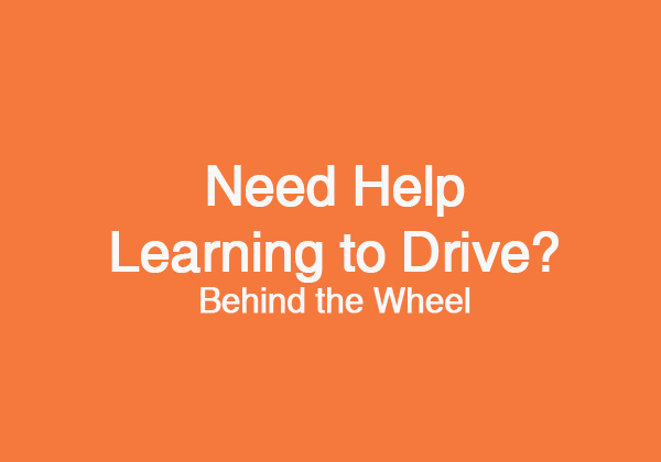 need-help-learning-to-drive-adult